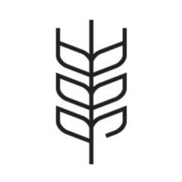 Dr. Lily Ros Organics