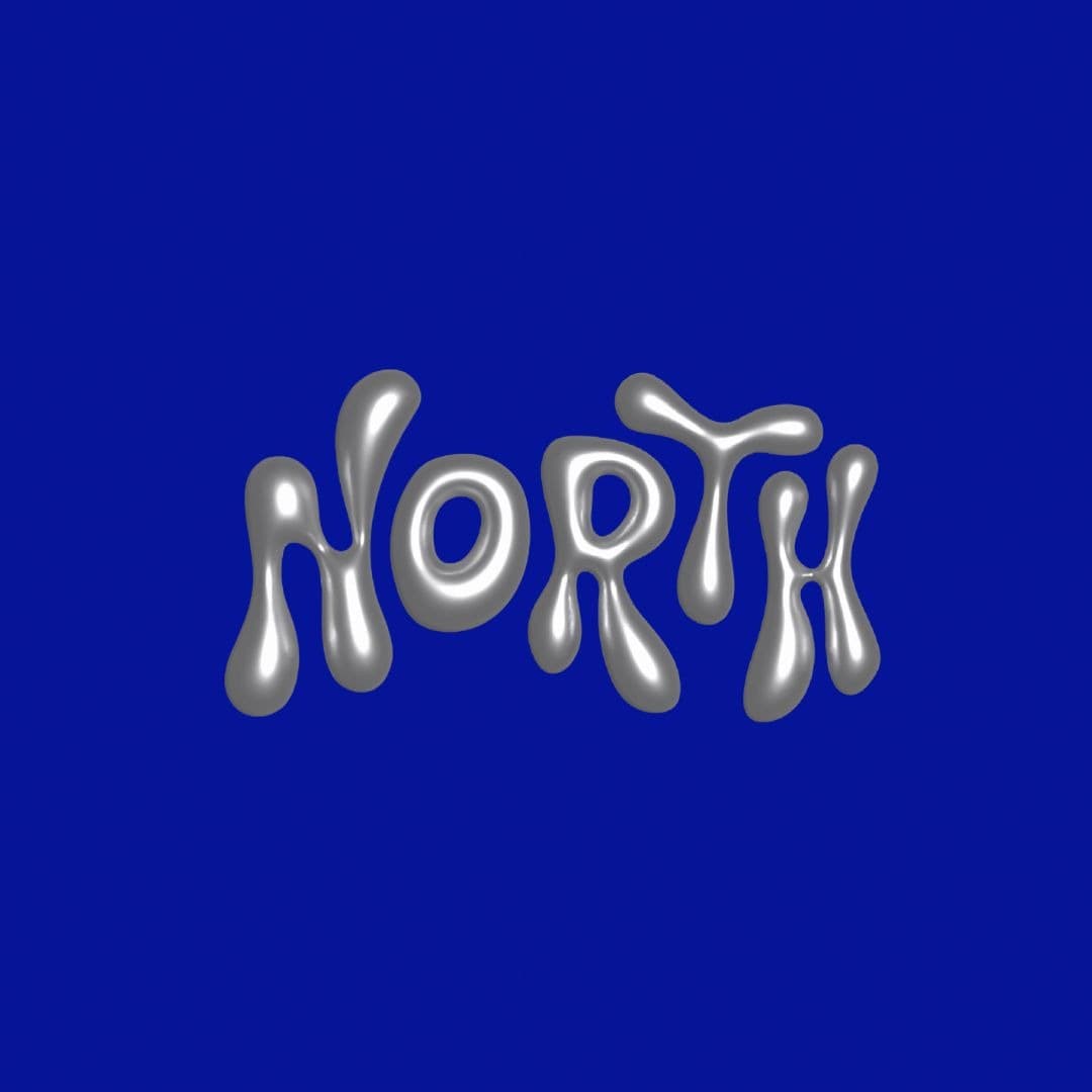 NORTH Agency