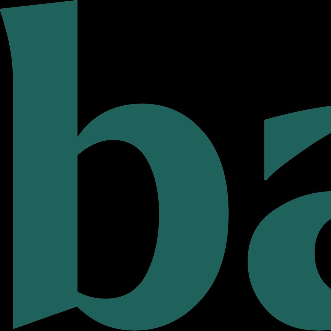 Baton Market featured logo