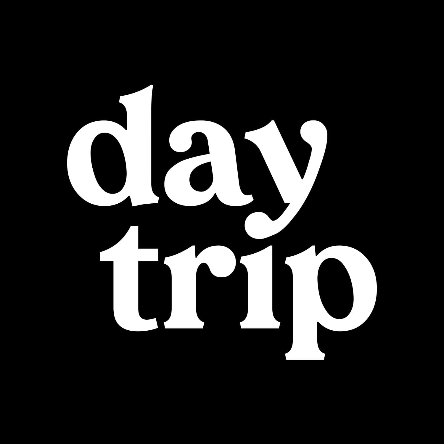 Daytrip Clear Bags