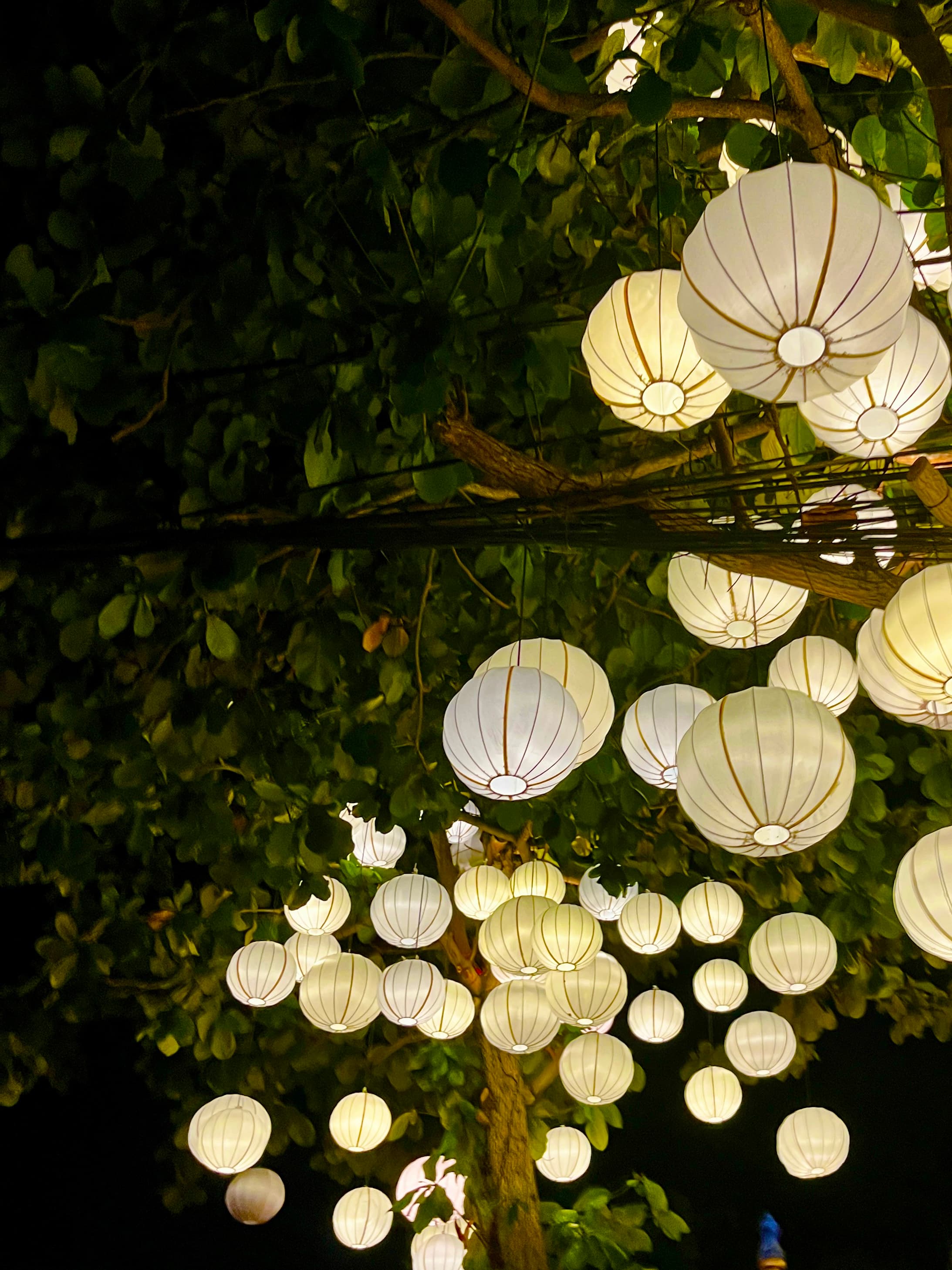 jaestraveljournalsubstackcom