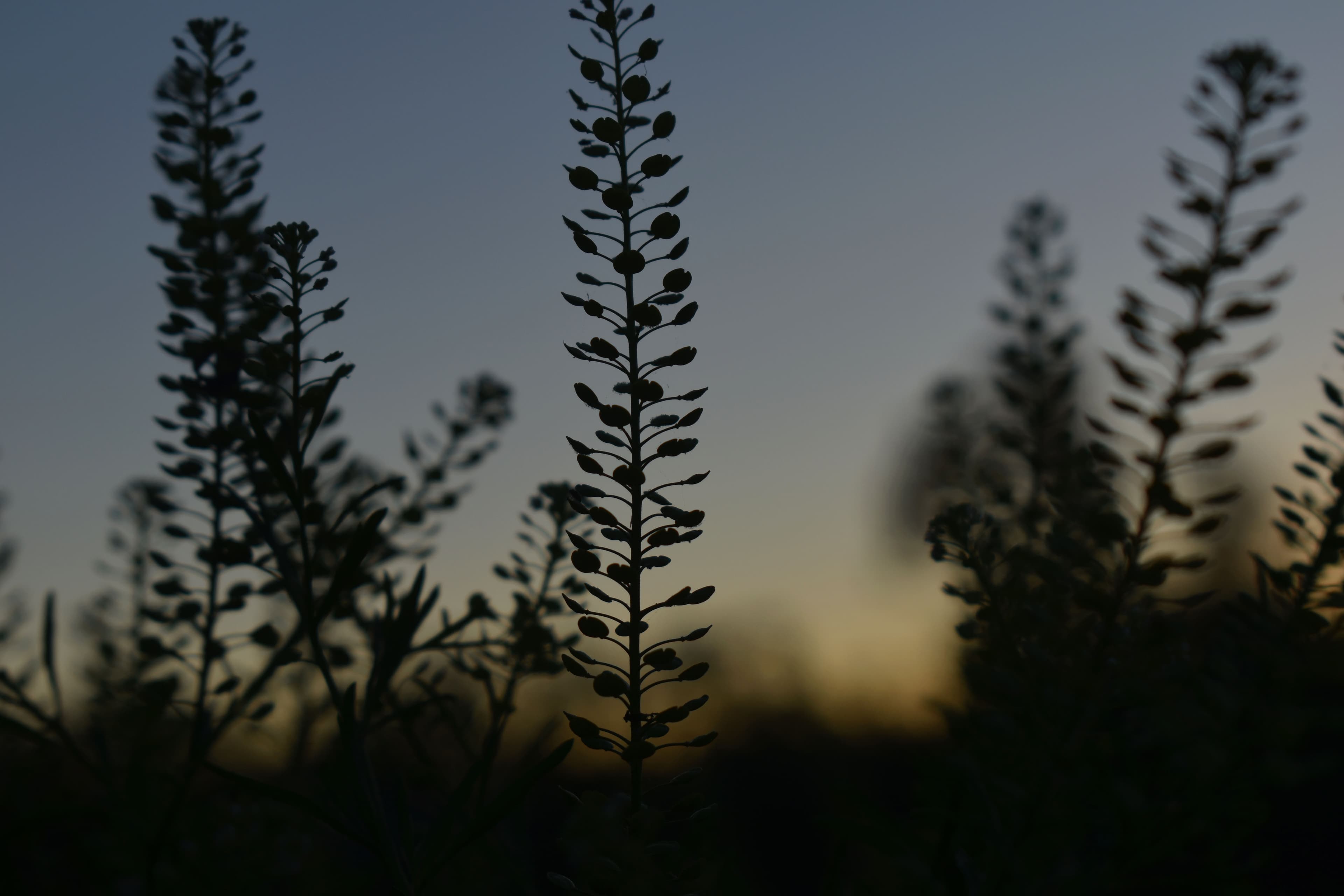 drivegooglecomdrivefolders1av4B03q7yj4J5uyK6rucVOEjAzsoMLaTuspdrivelink