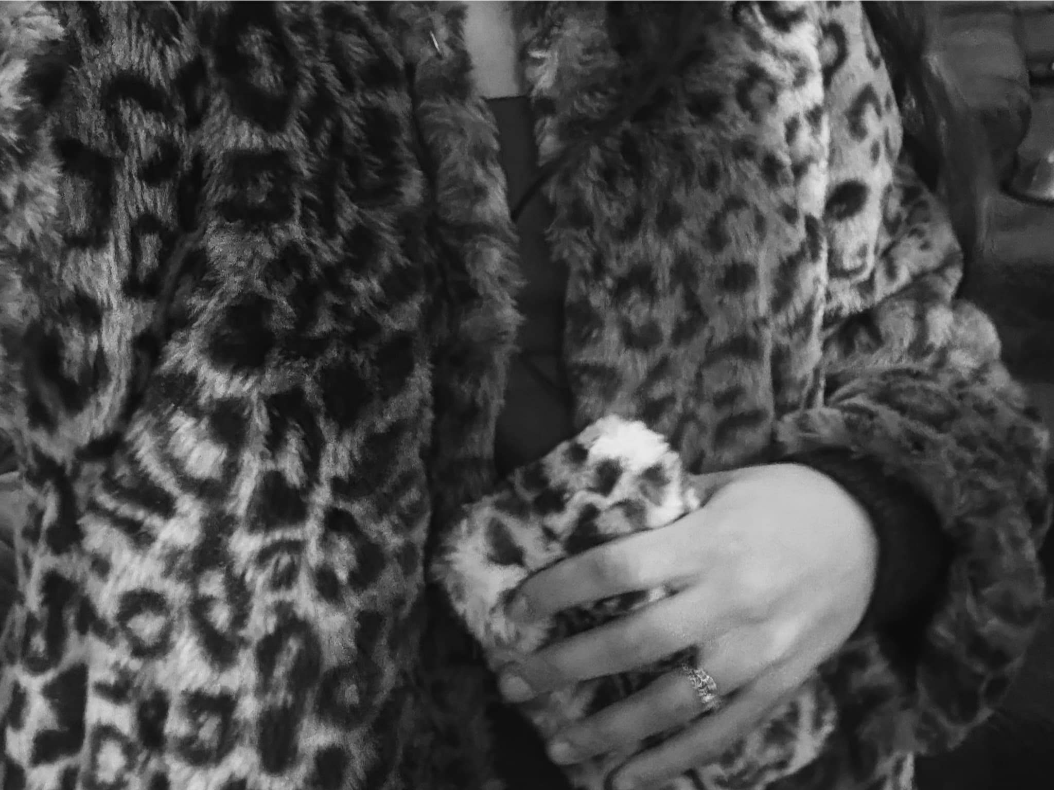 Stephanie's Pinterest