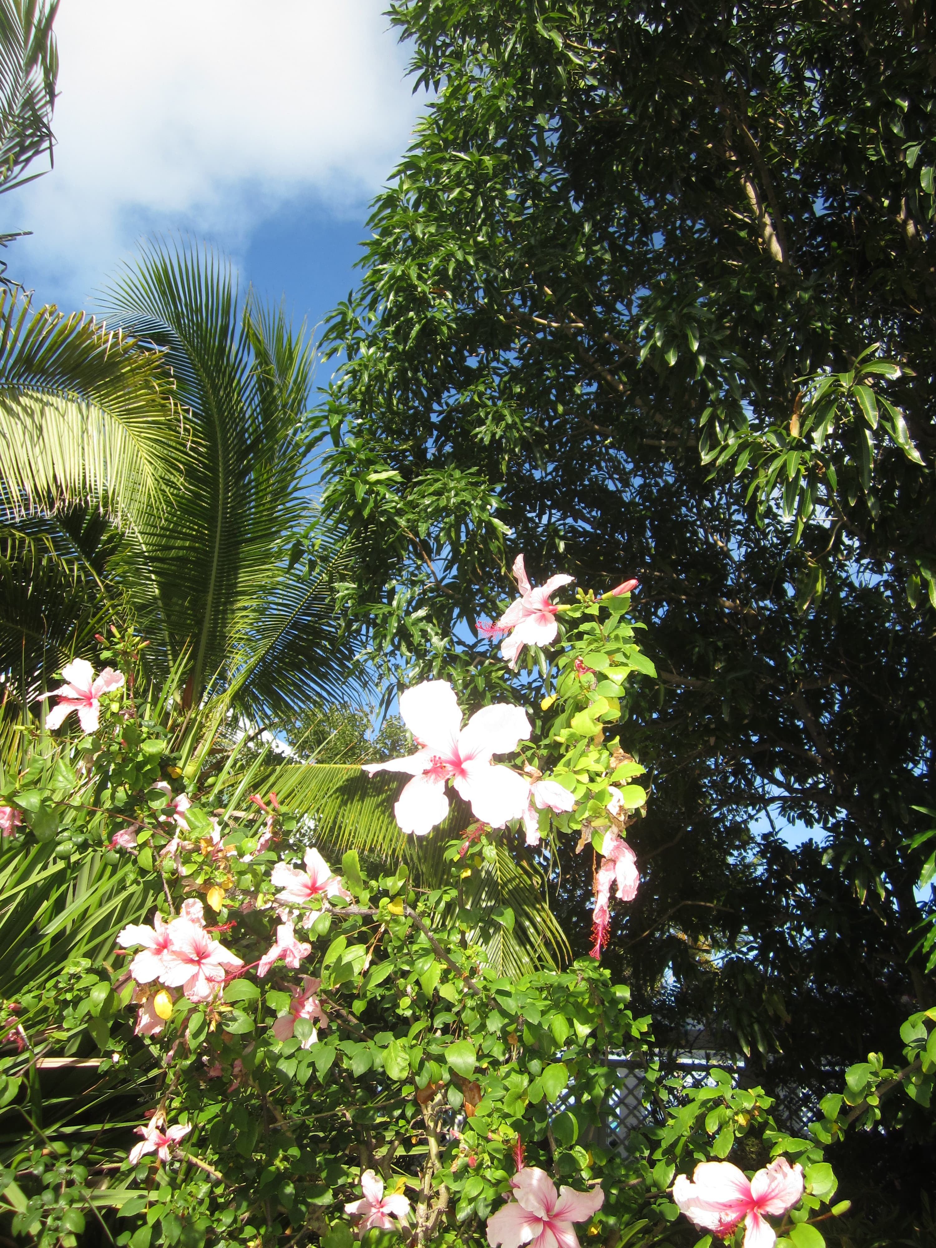 rileybauerportfoliomycanvasiteriley-bauer