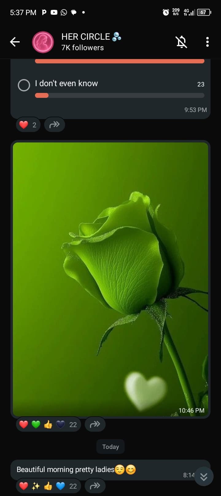 TikTok - Make Your Day