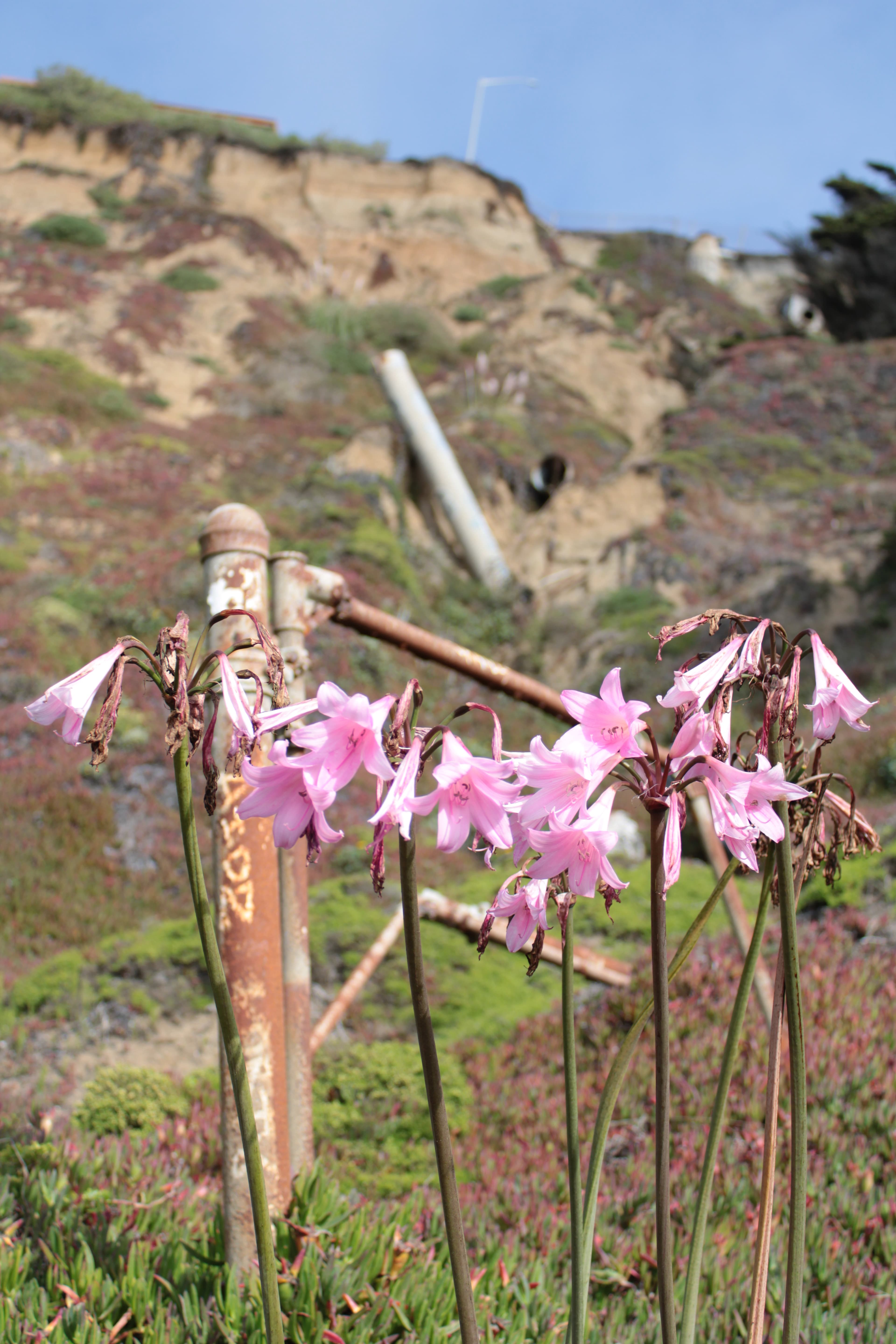 kayleekuymyportfoliocom