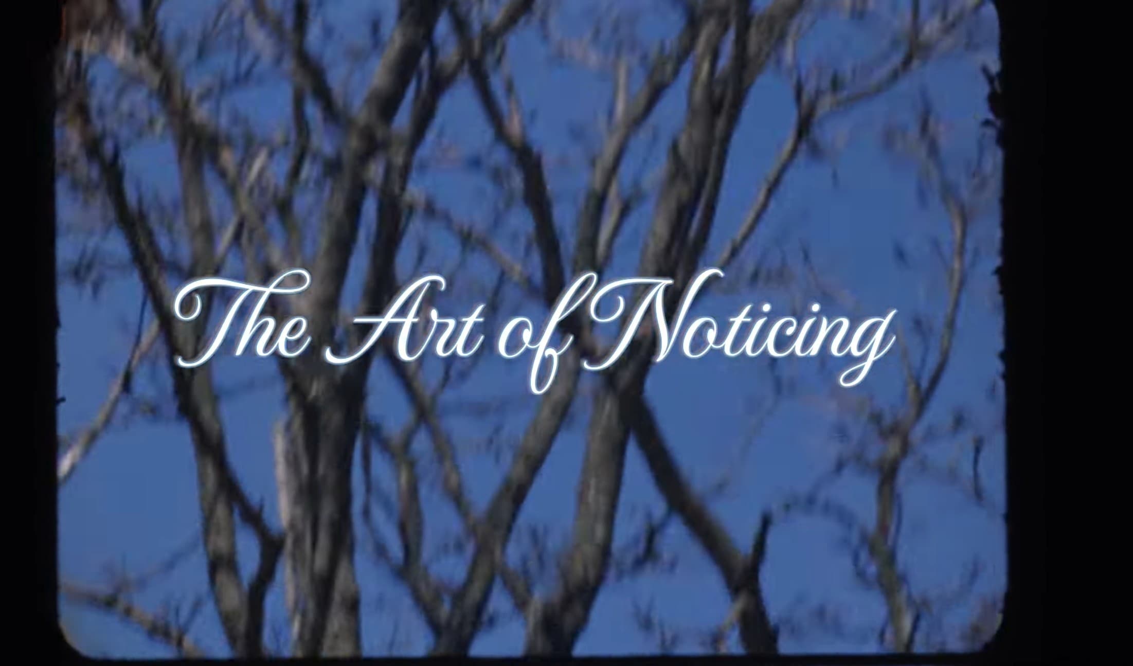 The Art of Noticing