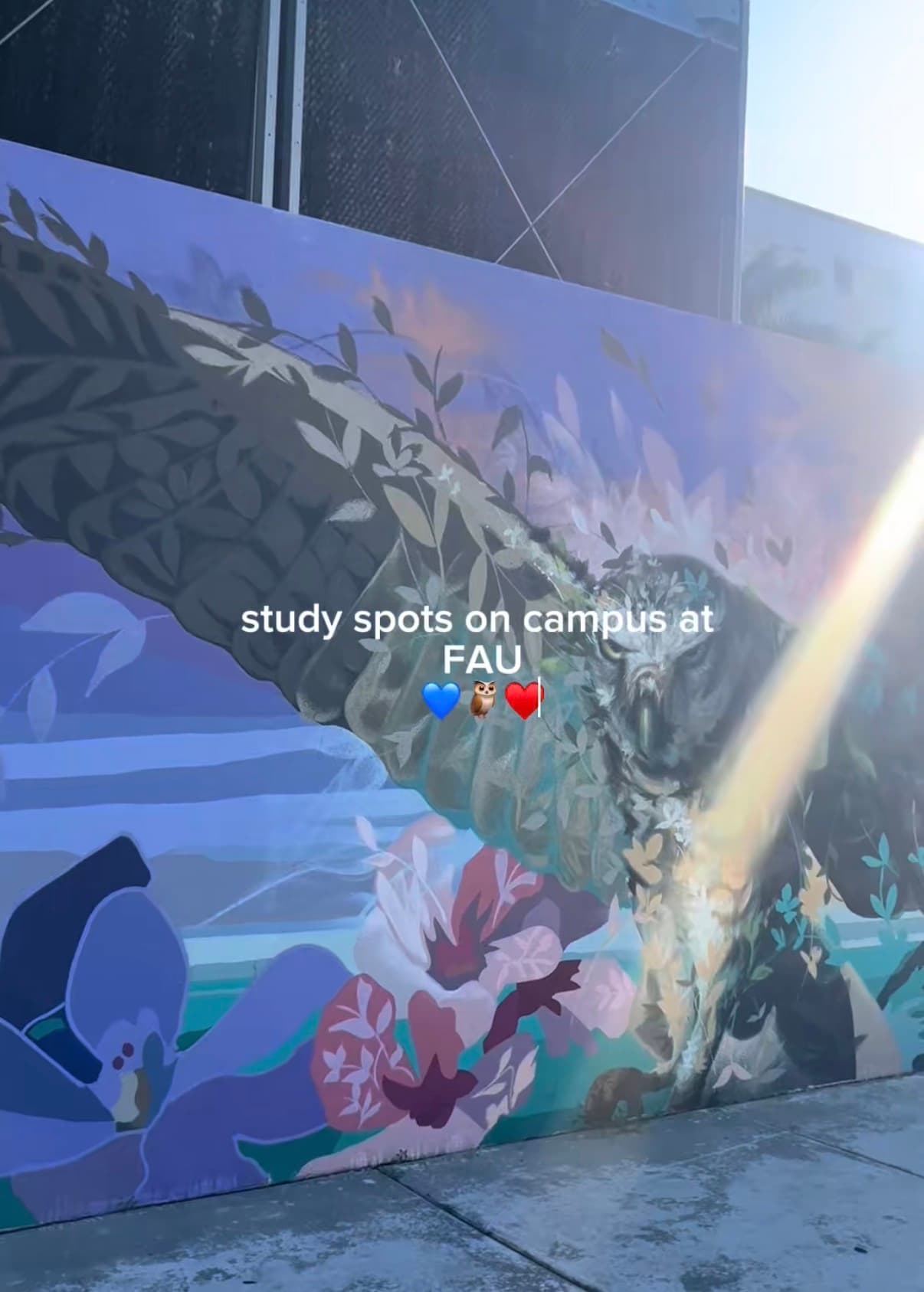 FAU campus study spots!