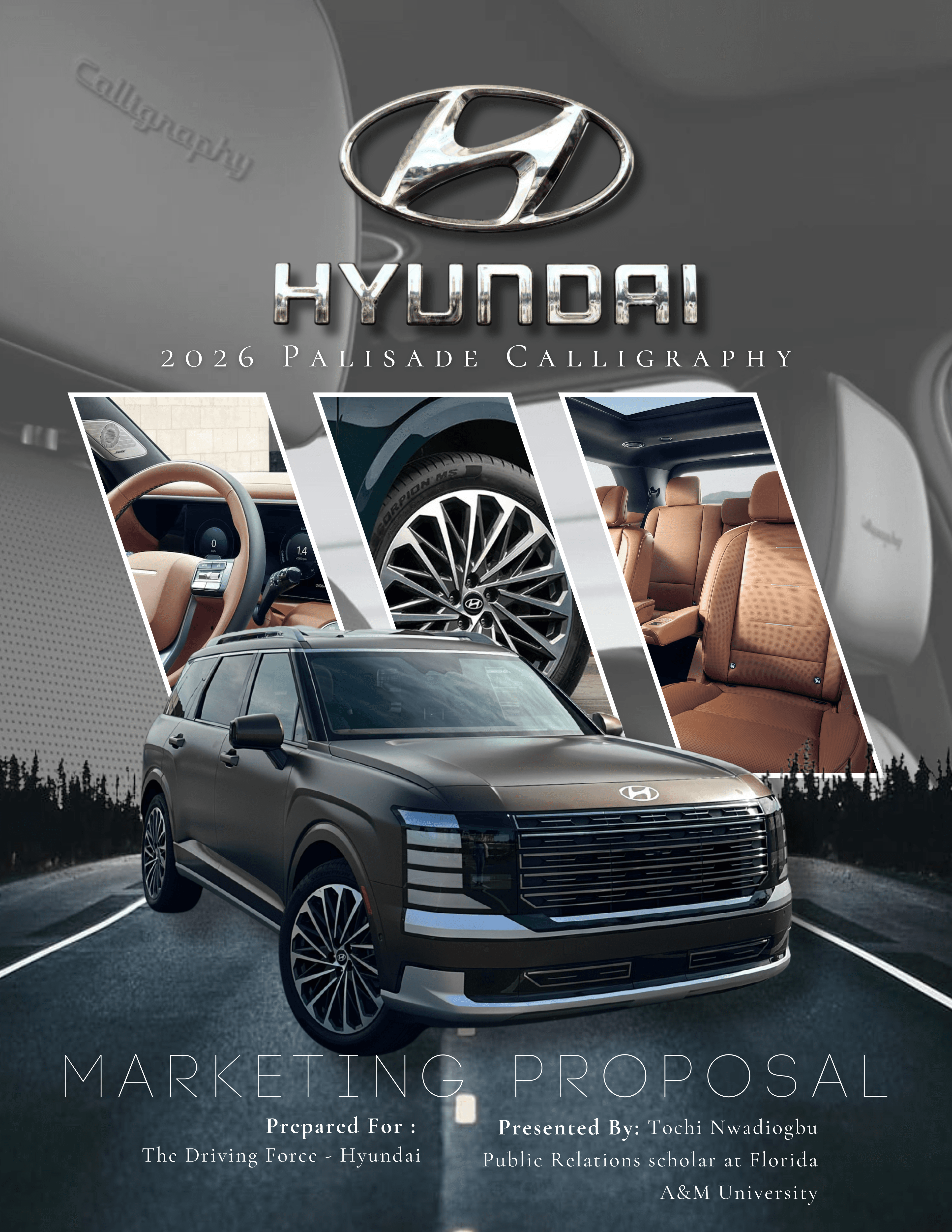 Hyundai Marketing Proposal