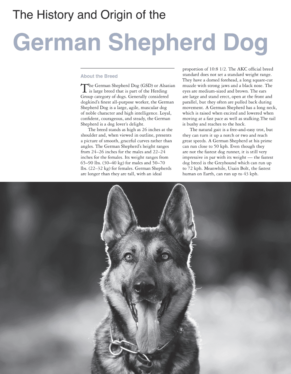 drivegooglecomfiled1QtKtK1kmrD-hhBYmI9ASqJ6i6IFHSyQLviewuspsharing