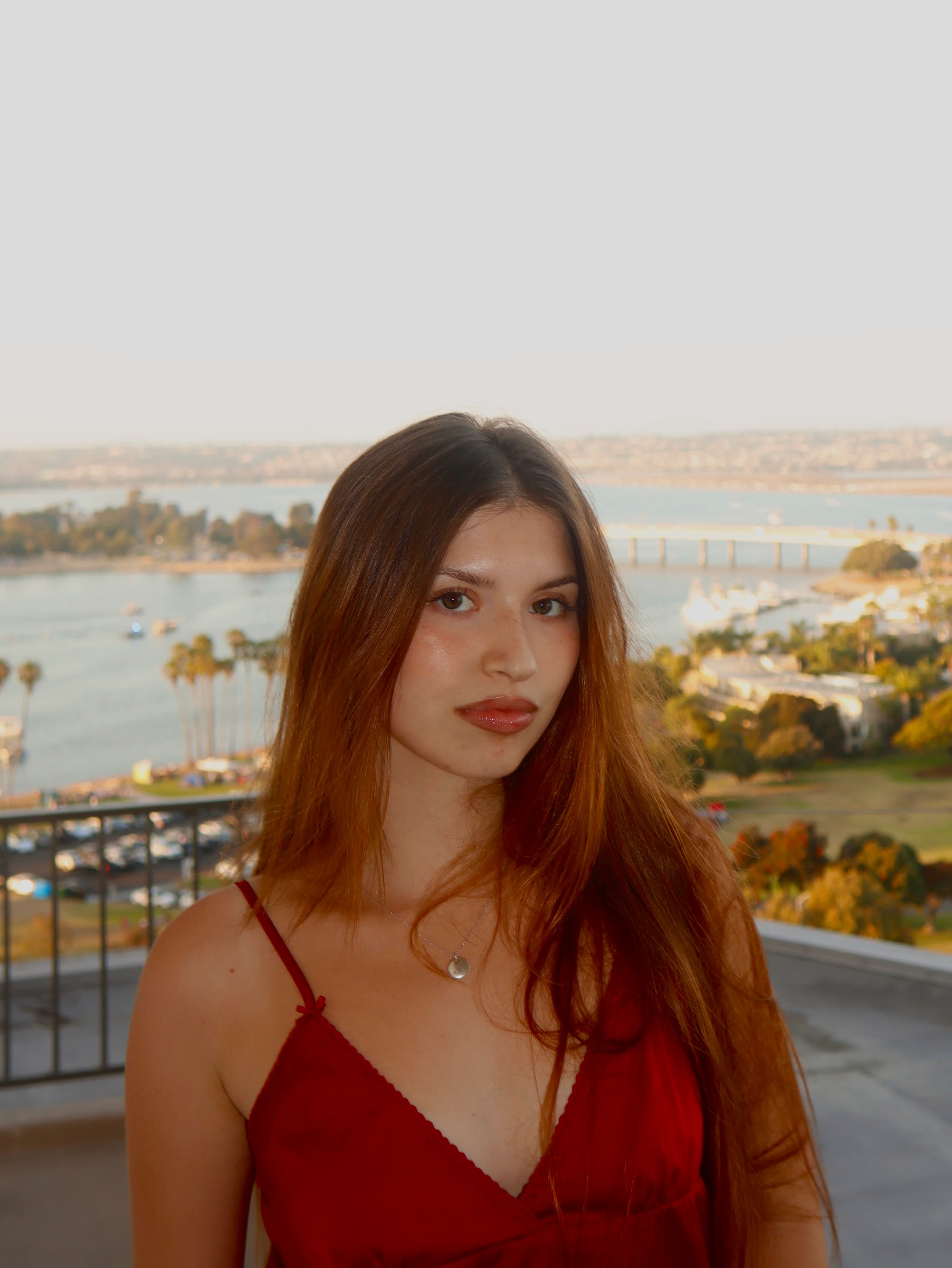 julianafrisciaportfoliomycanvasitehomefromcollege