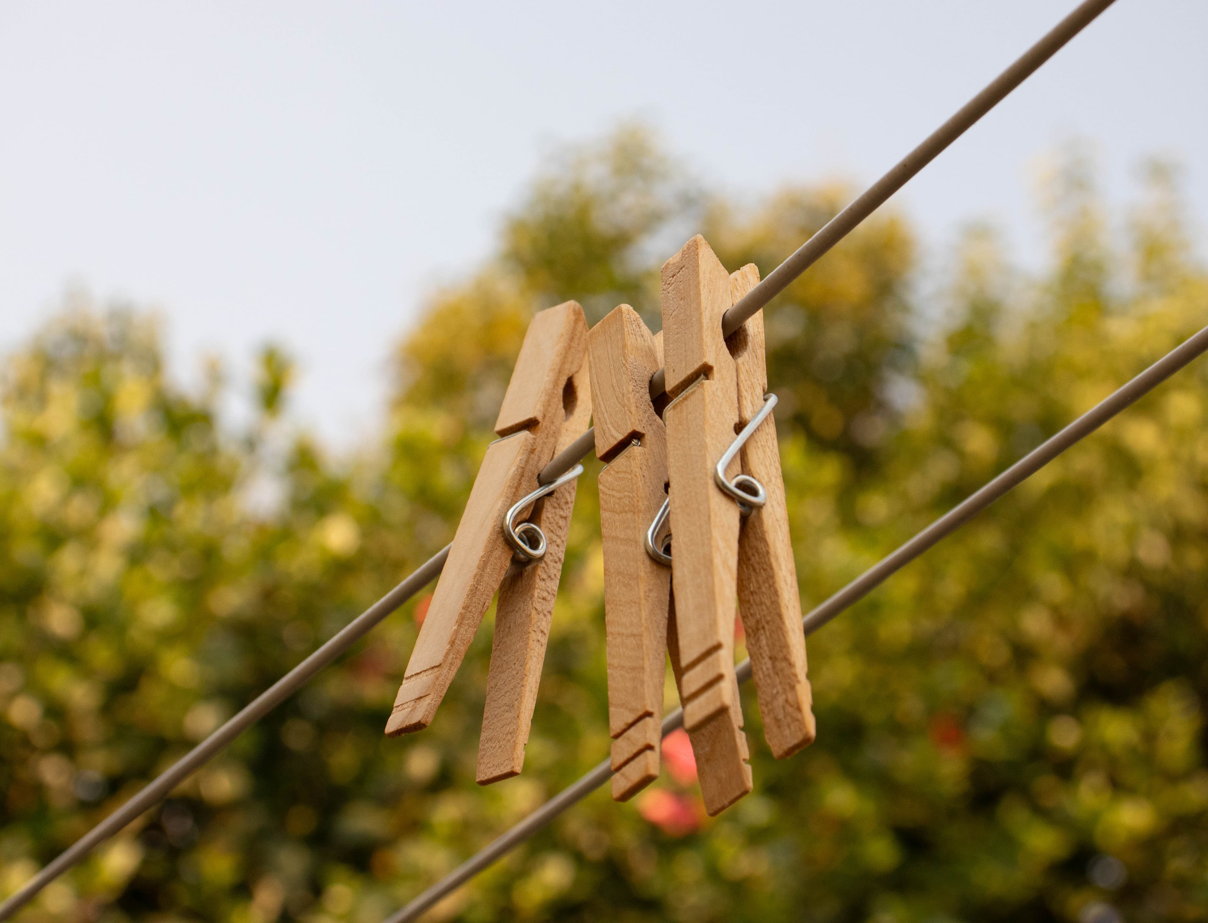 angelinamiamycanvasiteangelina-portfolio-website