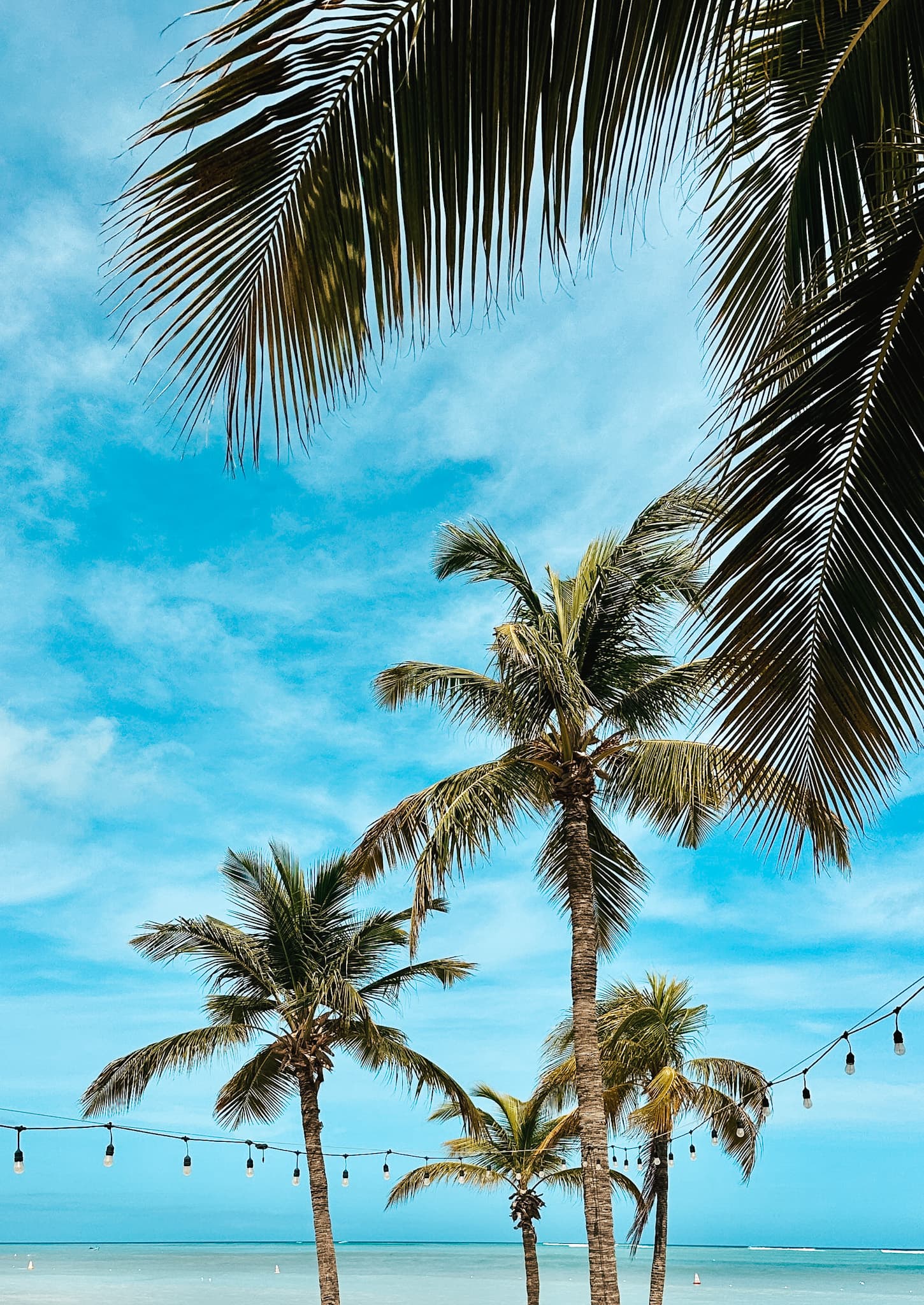 nicolebertrand.my.canva.site/saltyvisionboard