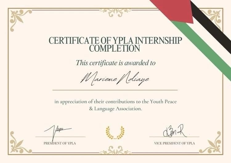 Youth Peace & Language Association