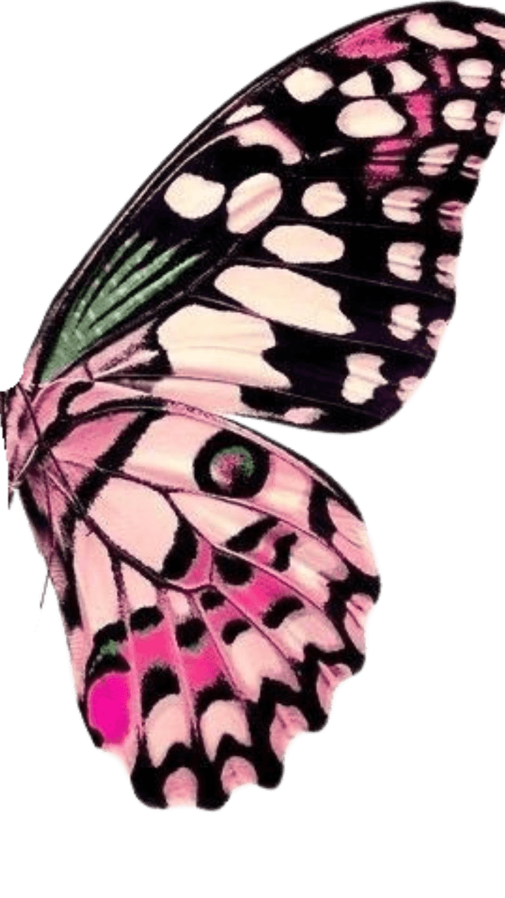 https://canva.link/p7wo917qud0izd3