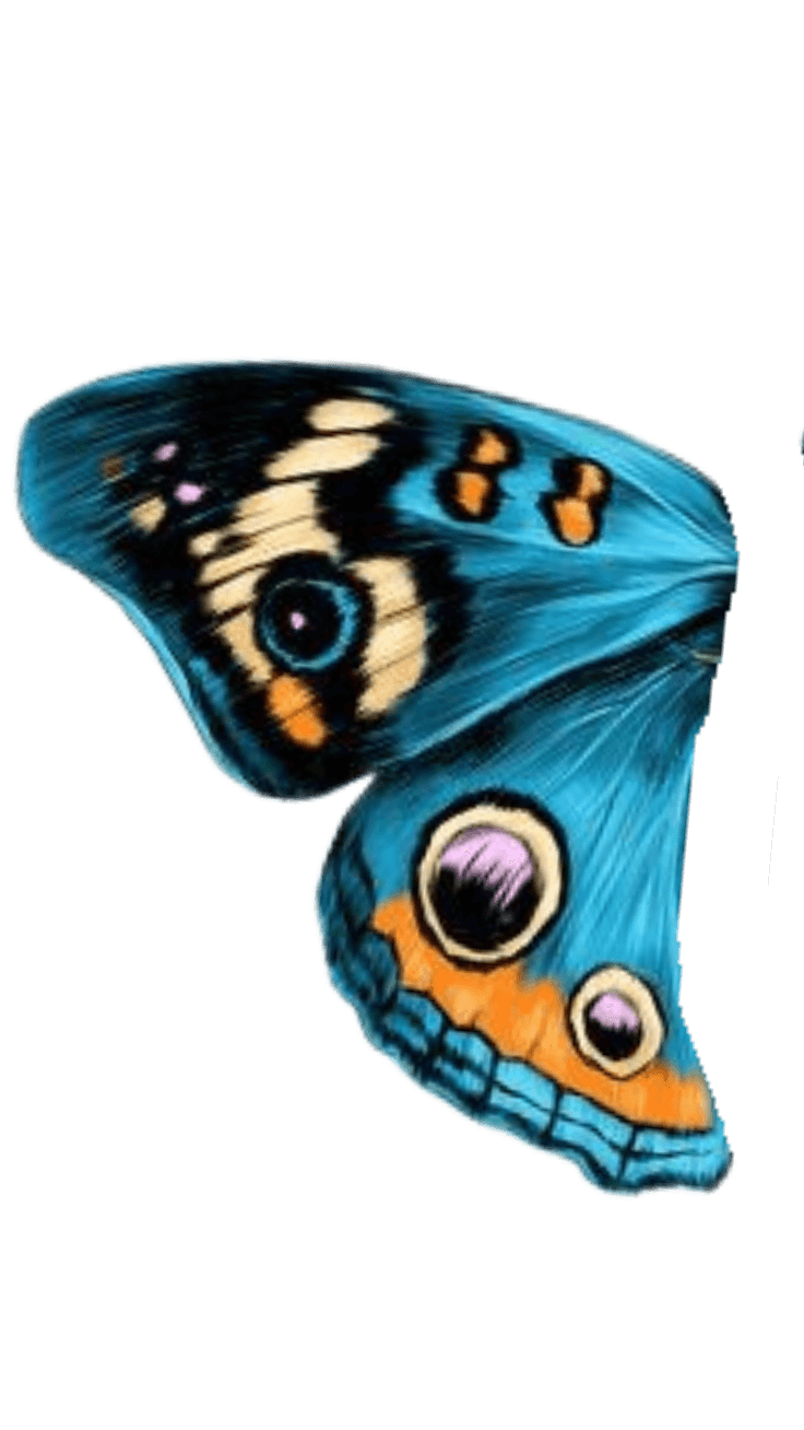 canvalinkh5fd3g6xbkovldj