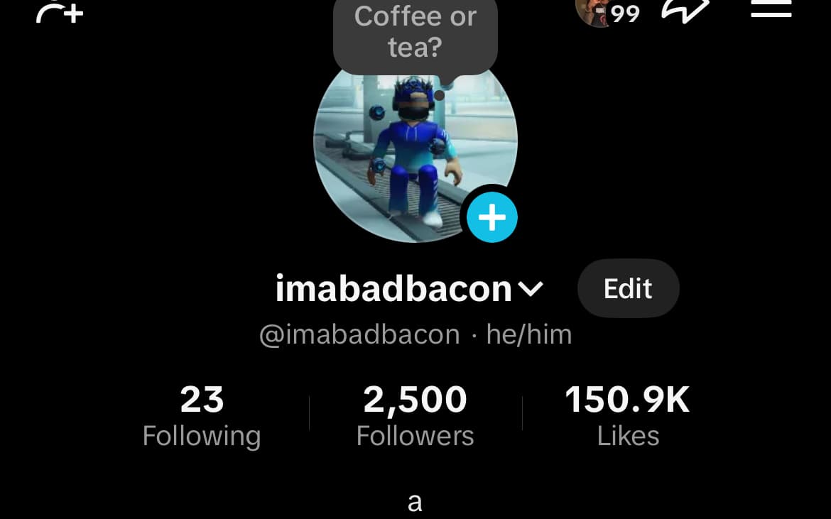 Personal TikTok Account