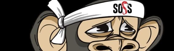 SOSS Bros background