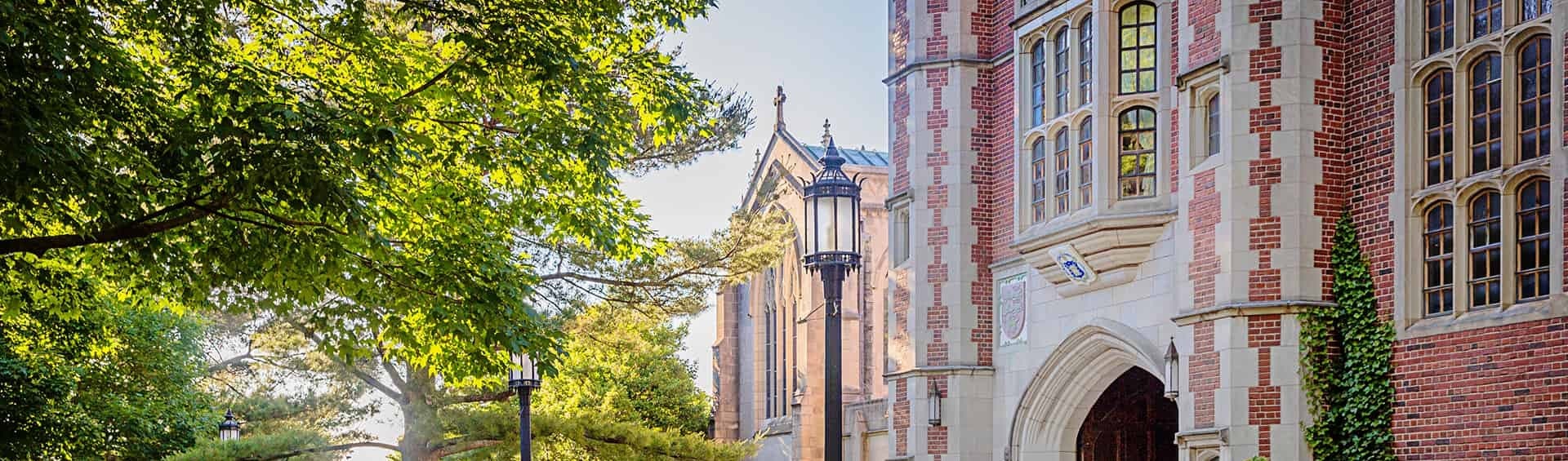 College Collective Co background