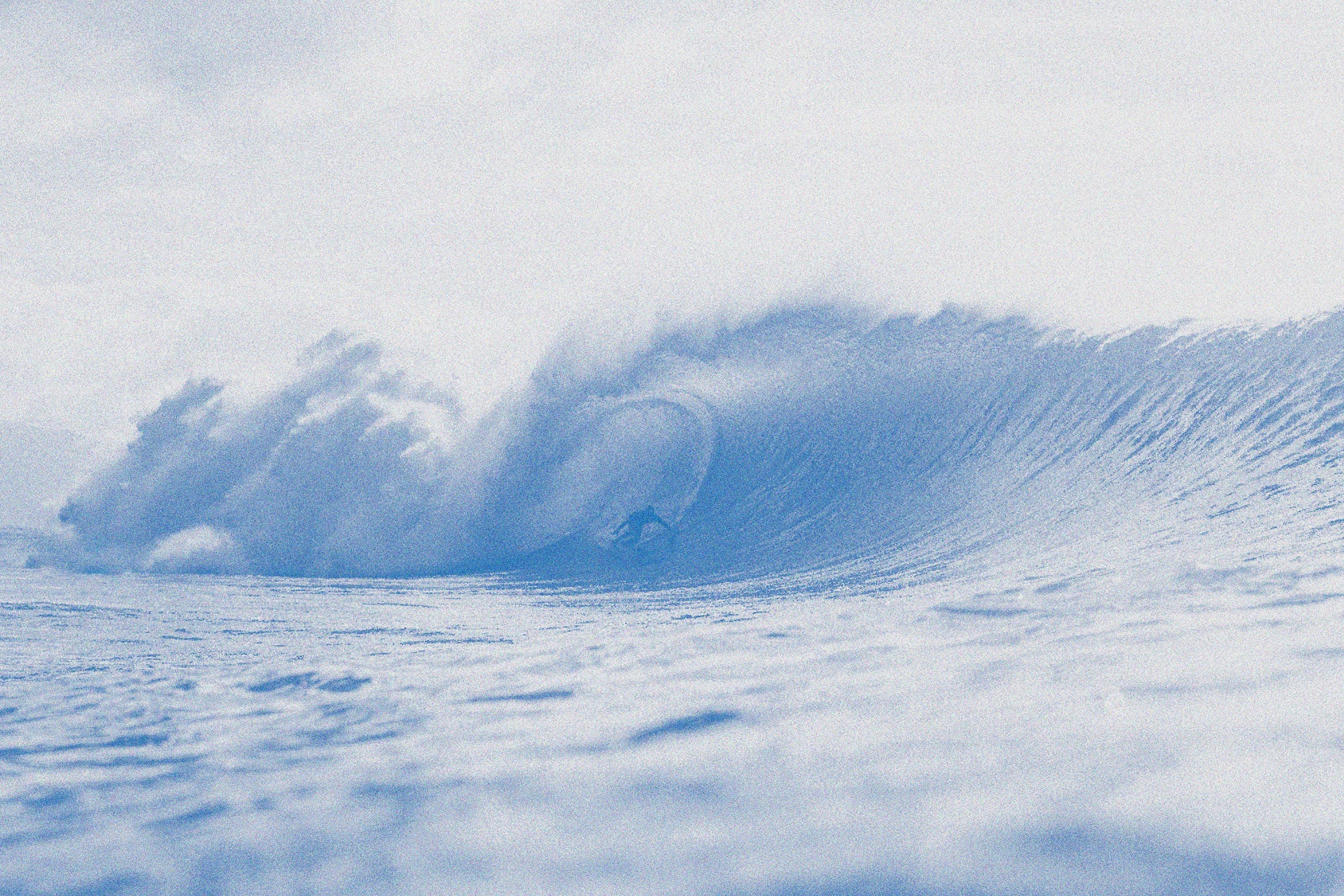 Next Wave Marketing Partners background