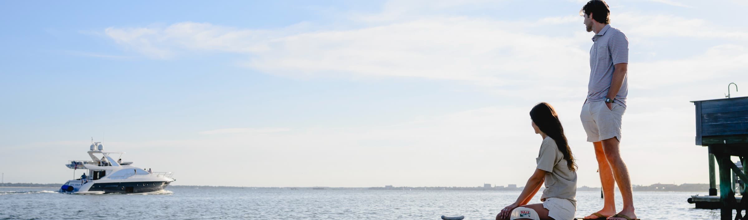 Sully & Co. background