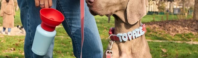 Springland Pets background