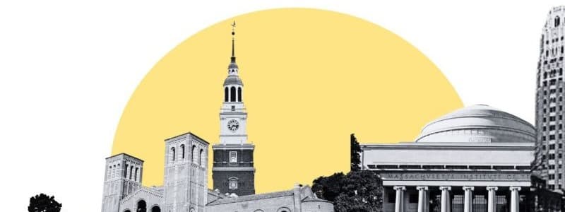 Muses Consulting Studio background