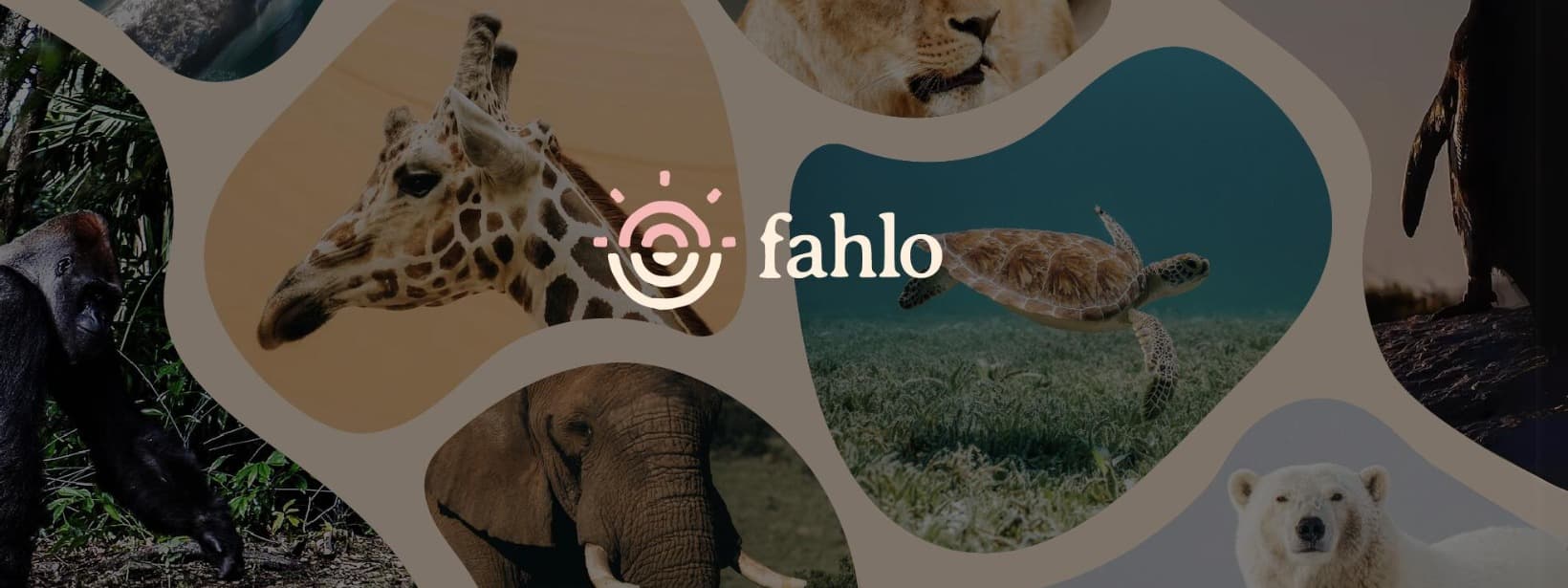 Fahlo background