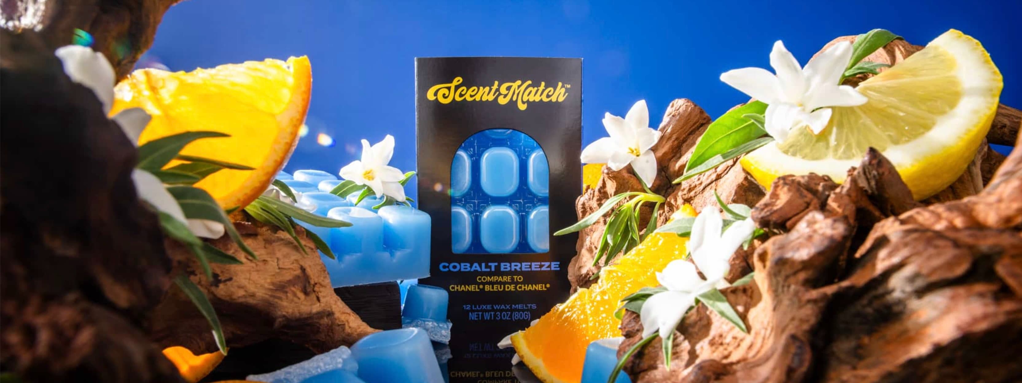 ScentMatch background