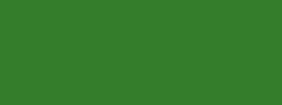 Rebel Green background