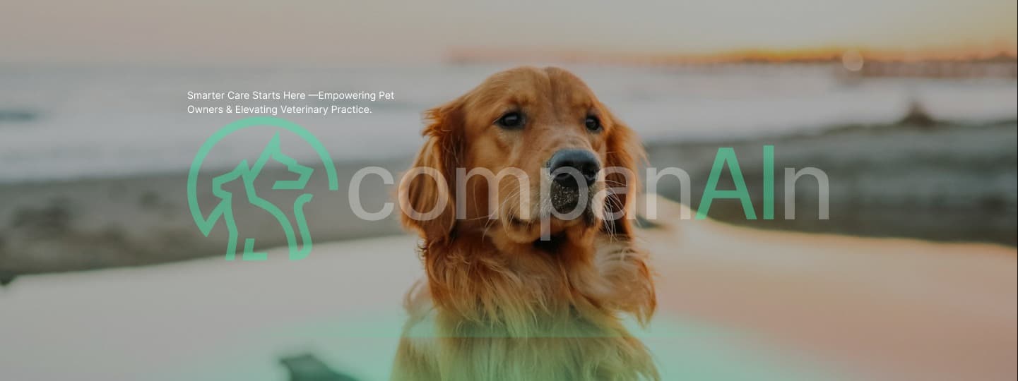 CompanAIn background