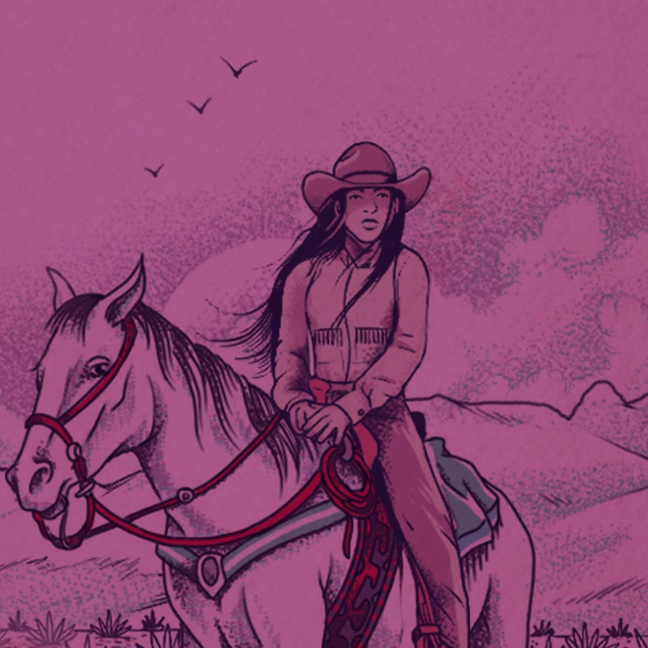 Siempre Spirits Limited