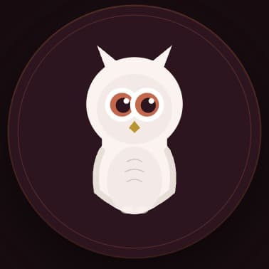 Hey Owls
