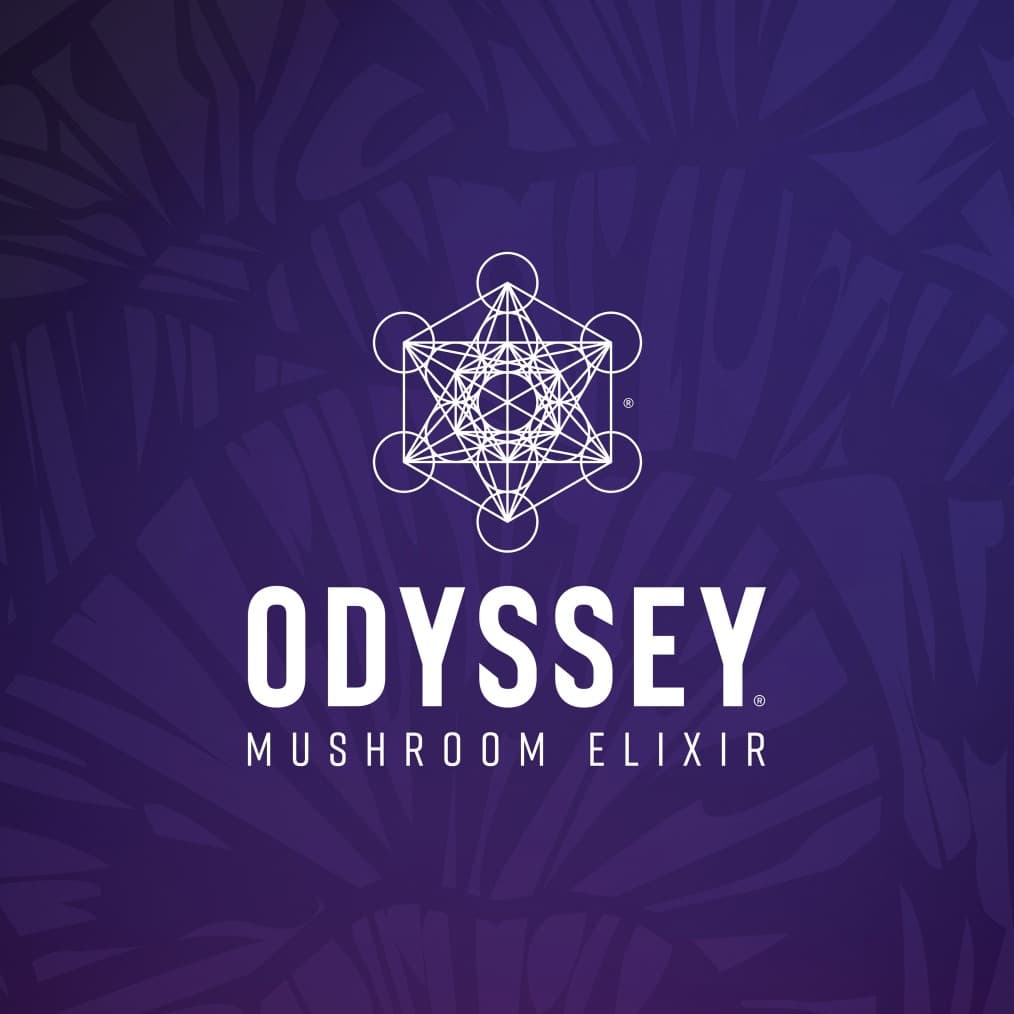 Odyssey