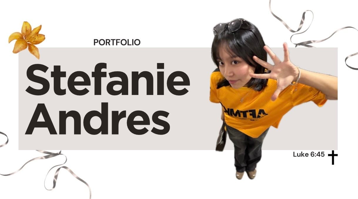 PORTFOLIO STEF