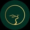 SACHI - The Asian Fusion sachipakistan Instagram photos and videos