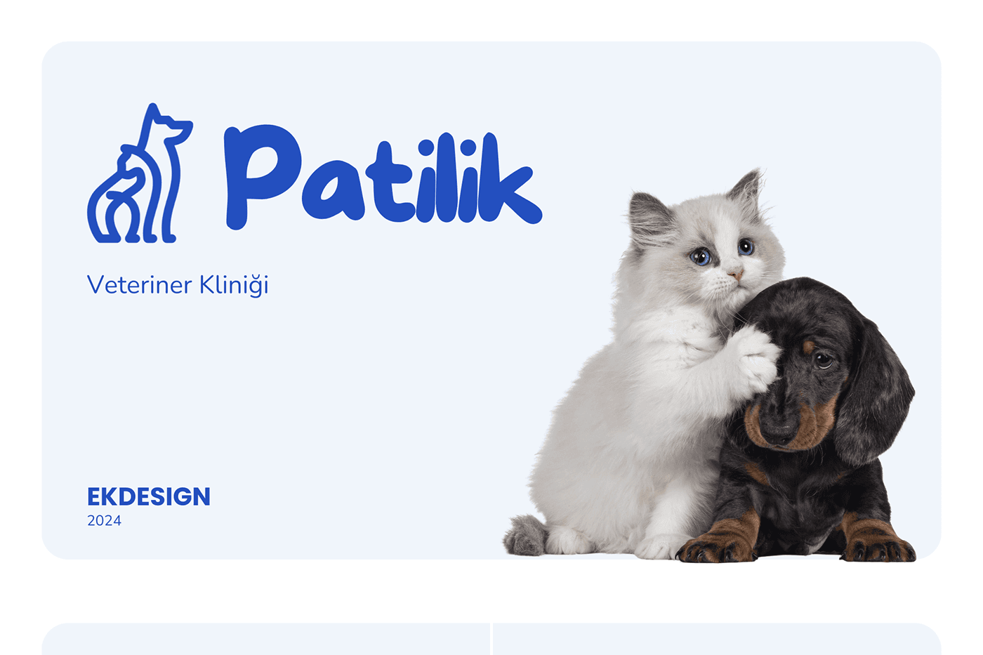 Patilik Veteriner Pet Shop Branding Kurumsal Kimlik Behance
