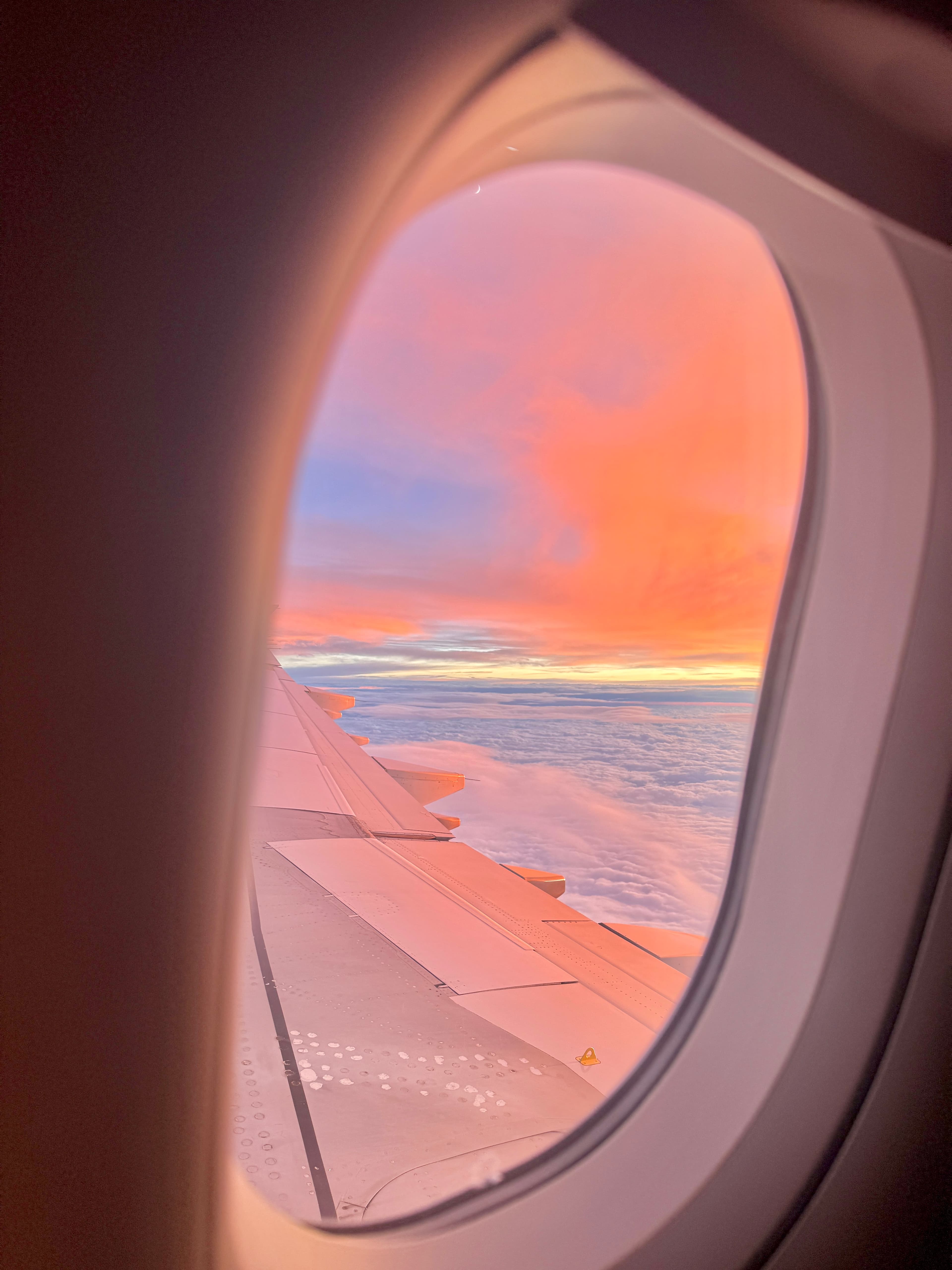 TikTok - A Life Worth Fighting For