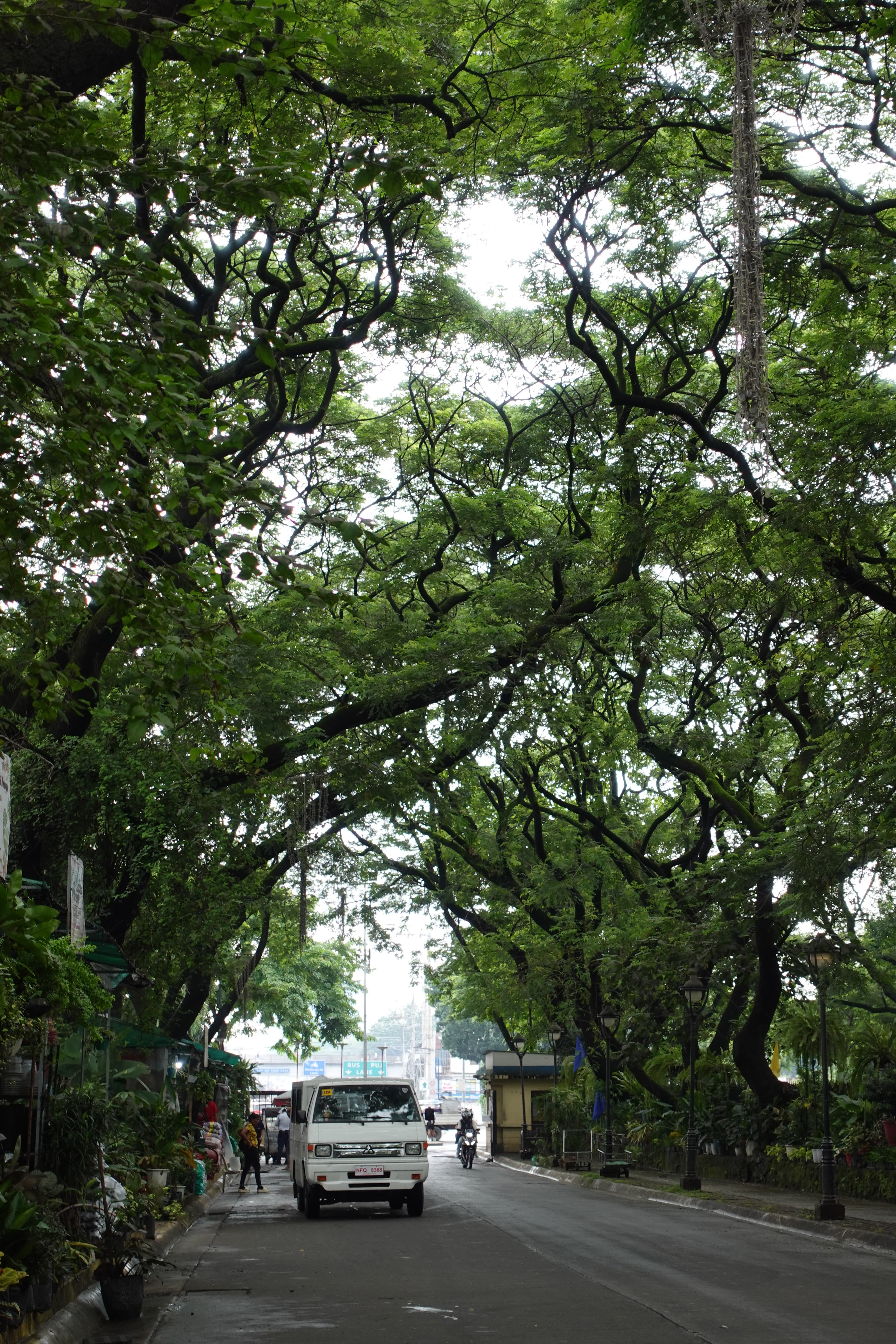 TikTok - Make Your Day