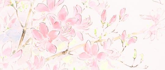 TikTok - Make Your Day