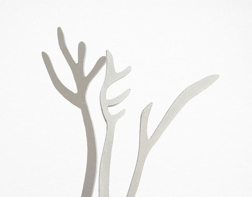 Aricaria Behance