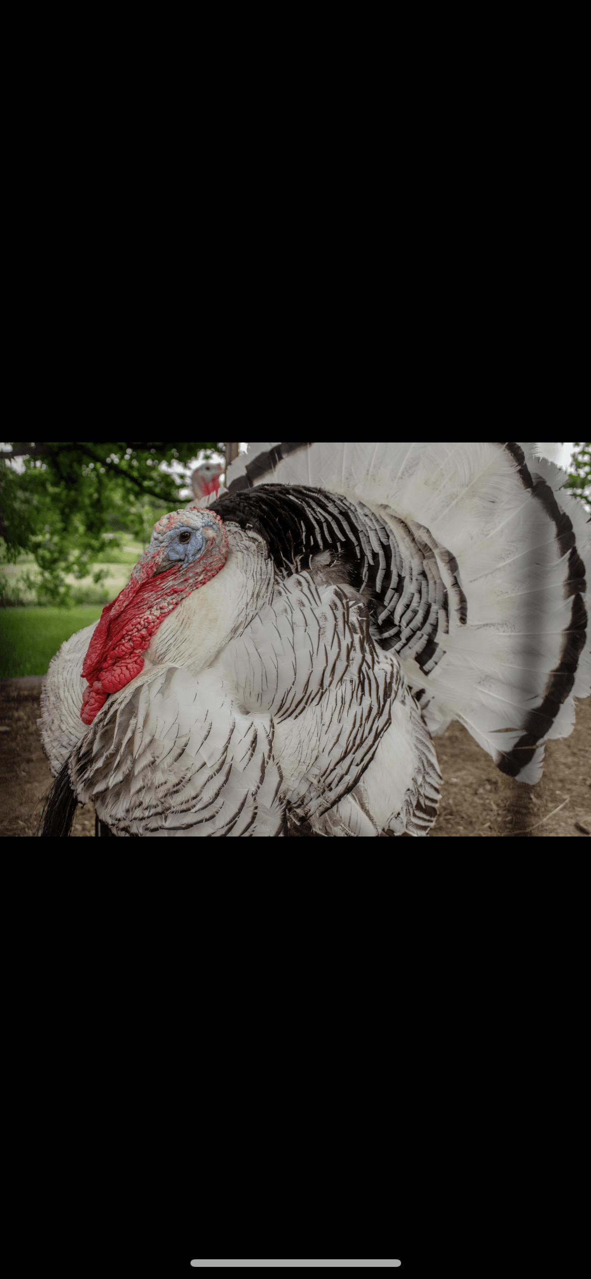 Photography & Visual Work