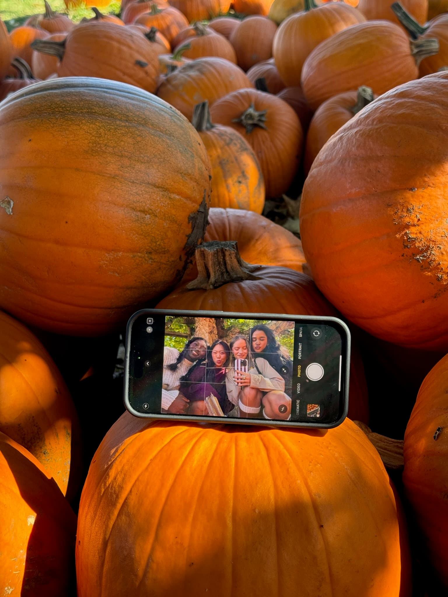 Hollister Fall Collection UGC