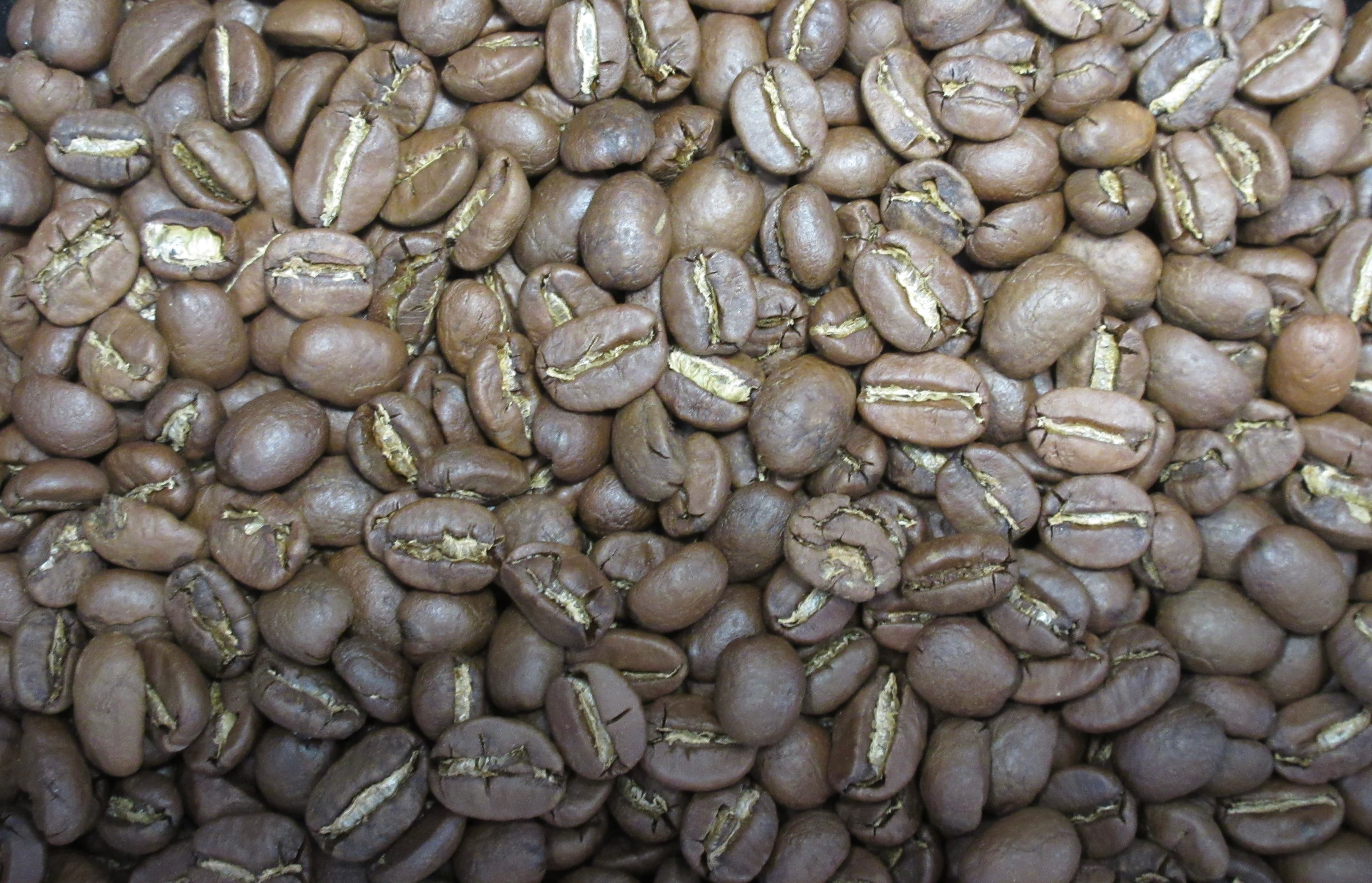 internationalflorencecoma-morning-at-dini-caffe-understanding-the-italian-coffee-experience-from-an-unknowing-consumer-perspective