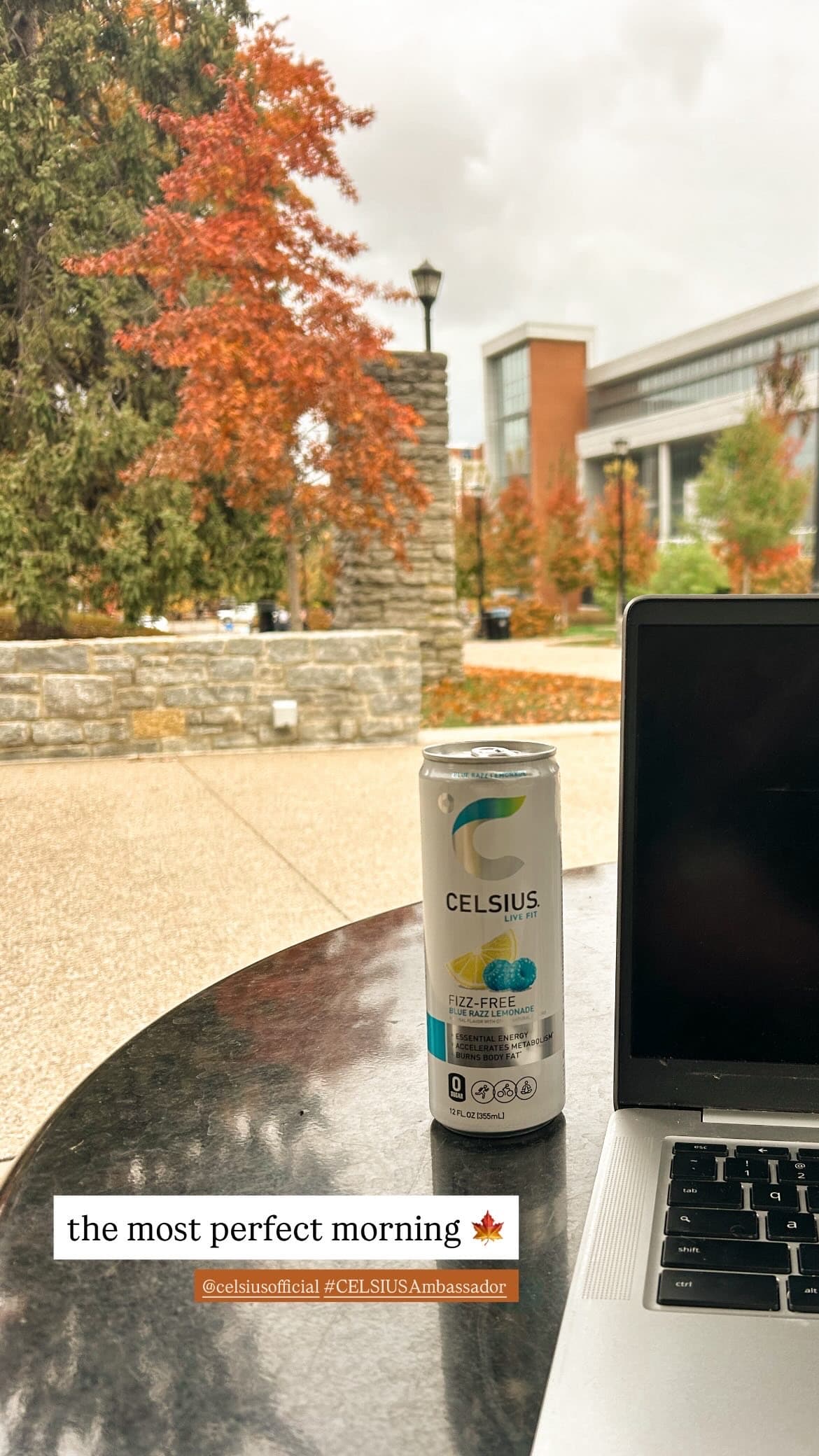 TikTok - Celsius Ambassador