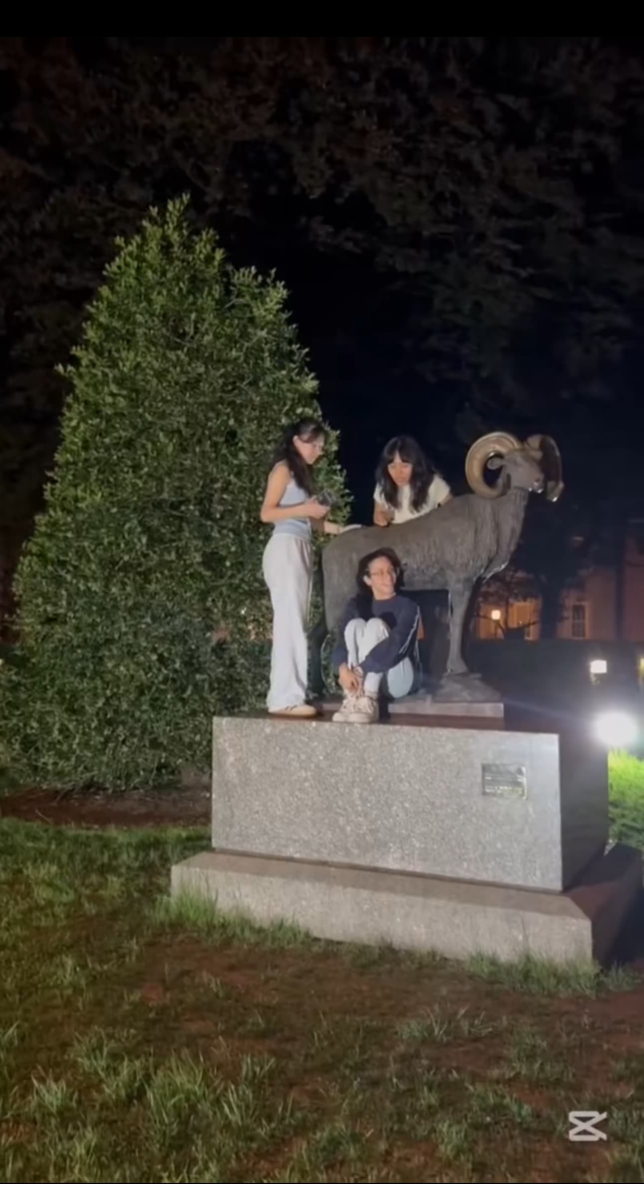 TikTok - Make Your Day