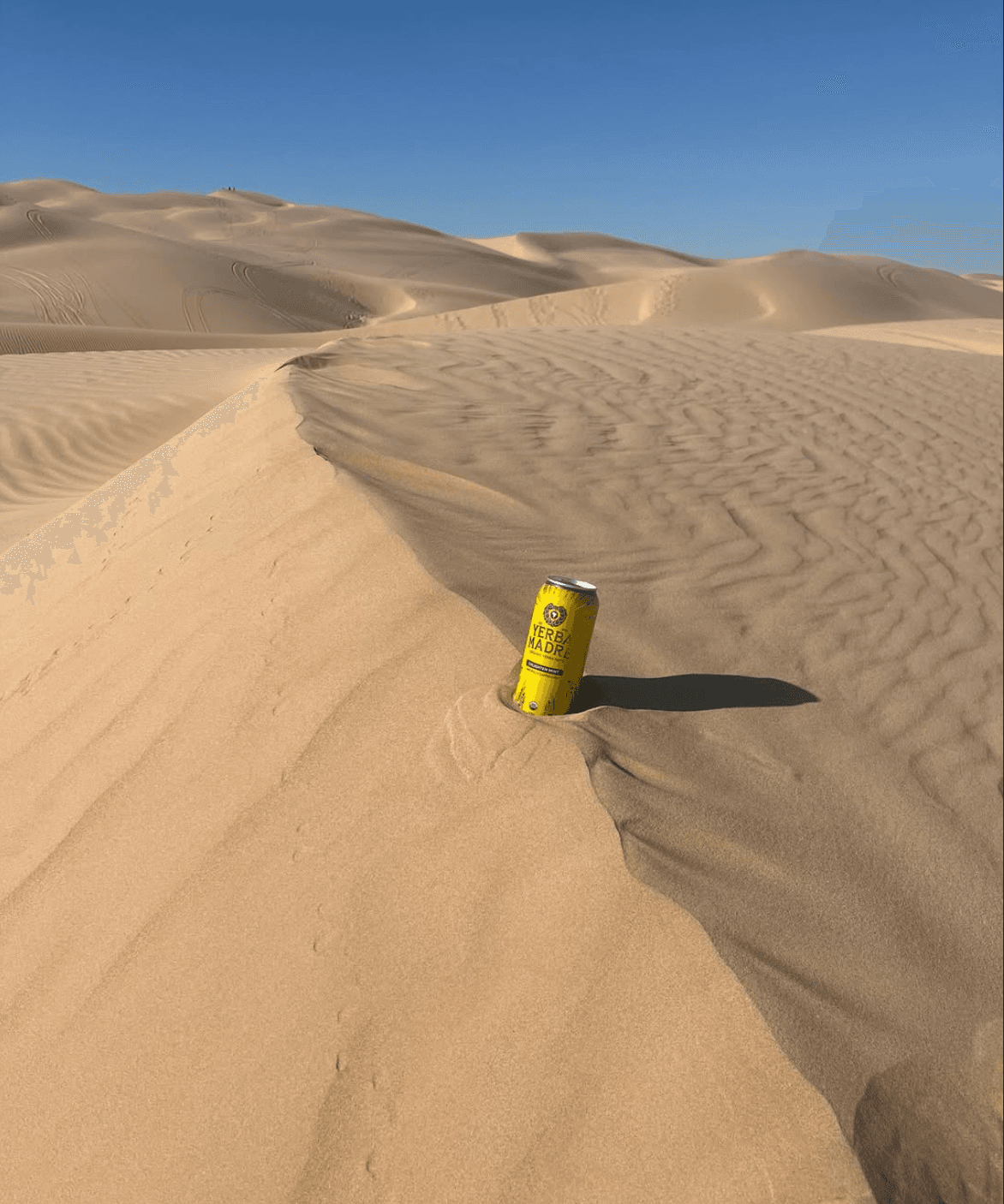 Yerba Madre Ambassador