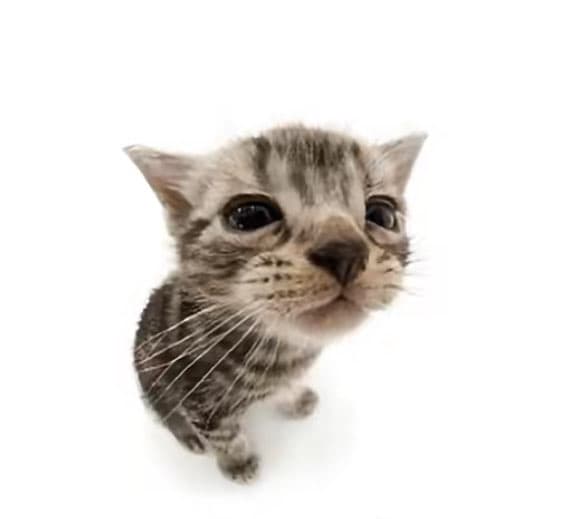 docsgooglecomdocumentd15cTpXCIsRSWZQxsT4NDSoUPUTJKfj1yOedituspsharingouid107852558066768816001rtpoftruesdtrue