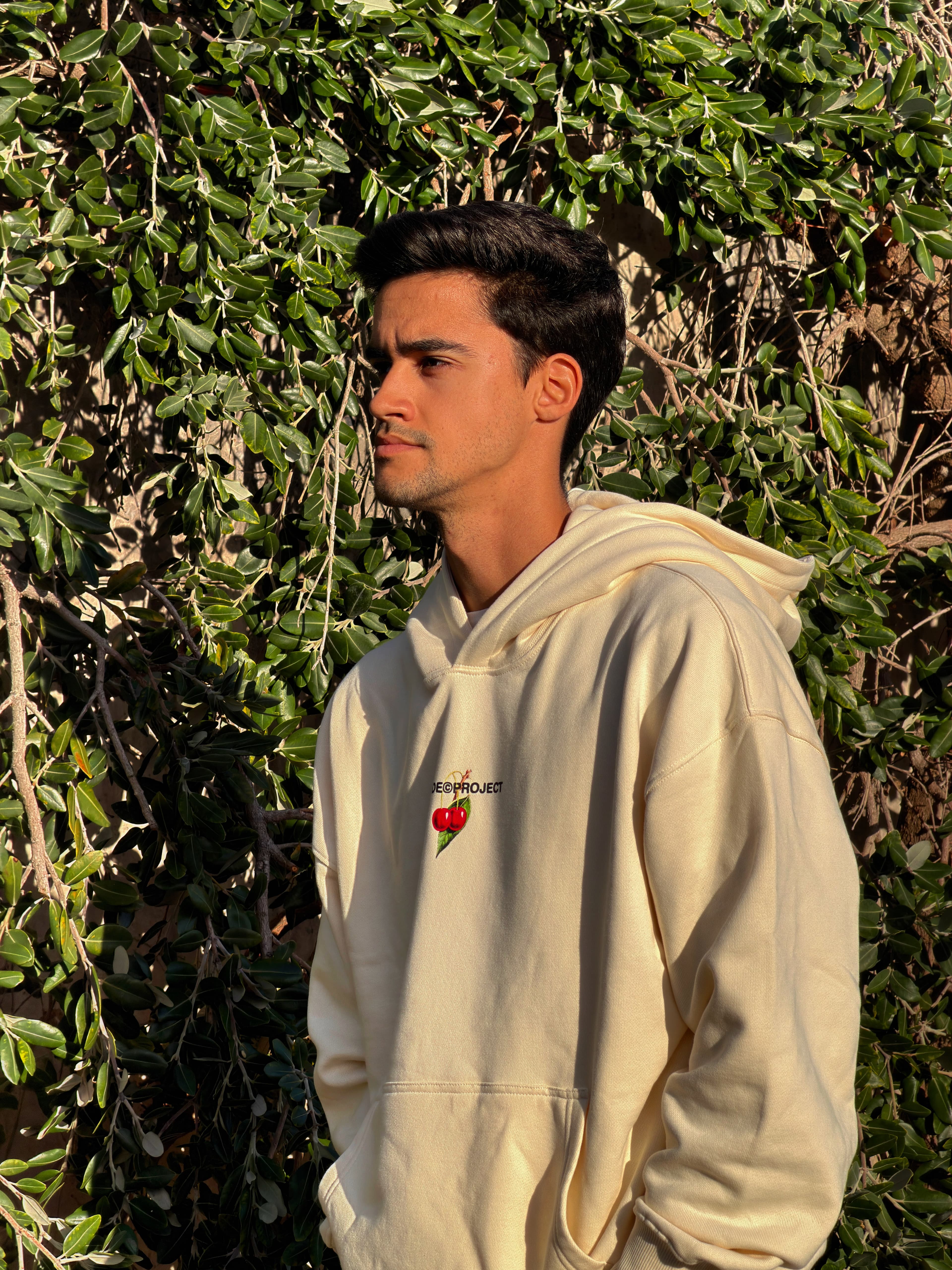 rodrigougc-portfoliomycanvasite