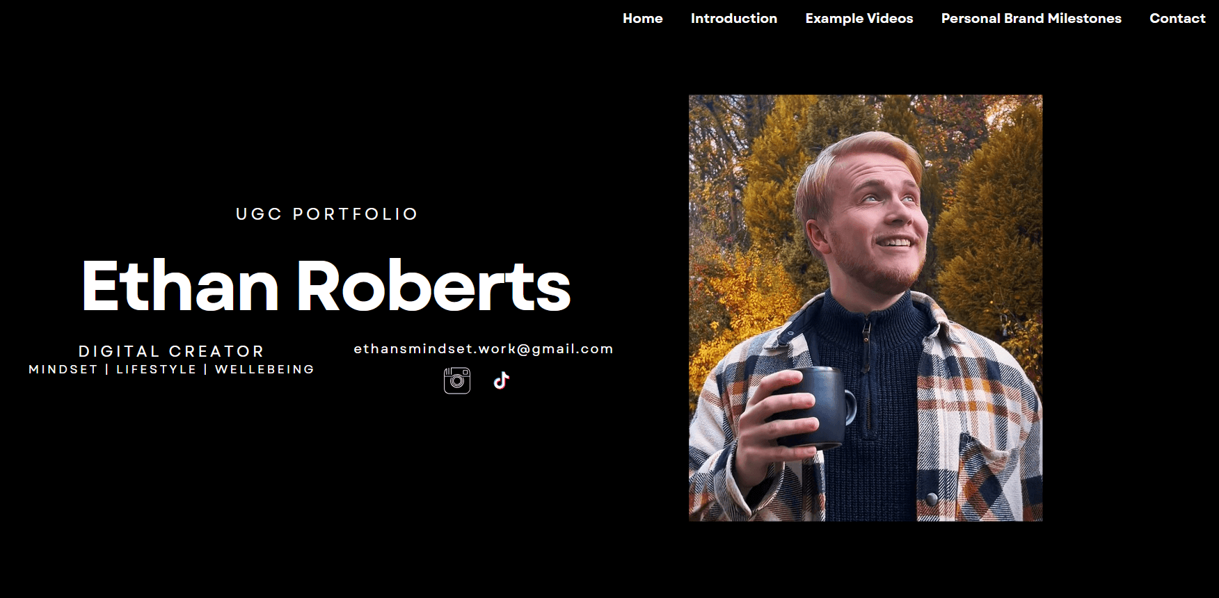 ethansmindsetmycanvasiteethansmindset